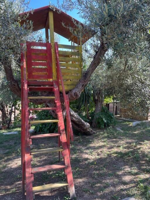 La Dimora Delle Rose Apartamento Passignano sul Trasimeno Exterior foto