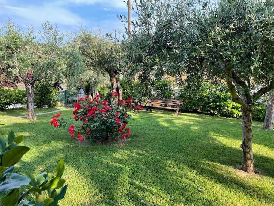 La Dimora Delle Rose Apartamento Passignano sul Trasimeno Exterior foto